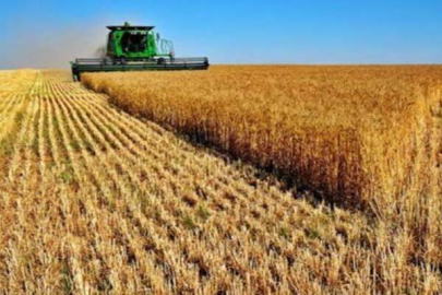 Köyüne geri dönene 250.000 TL Hibe Veriliyor