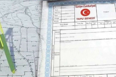 Hisseli tapularlar nasıl bölünür? İşte yapmanız gerekenler