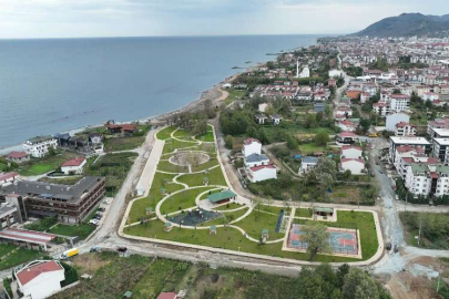 Bataklık yaşam alanına döndü