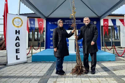 Keles'te çiftçilerin yüzü gülüyor