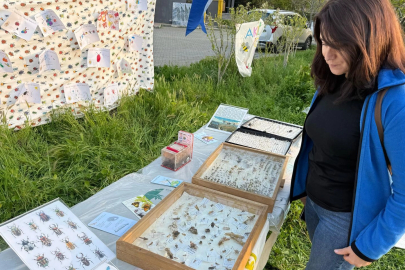 Osmangazi Yeniceabat’ta ‘Böcek Bilim’ Buluşması Yapıldı