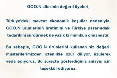 Japon Bebek Bezi Devi Goo.N Türkiye Pazarından Çekildi: Sebep "Ekonomik Koşullar"