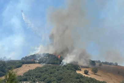 Bursa'da Alevler tekrar yükseliyor...