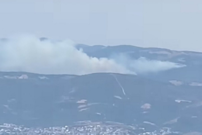 Bursa'da  orman yanğını çıktı! Çok sayıda itfaiye kibi sevk edildi