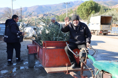 Eskişehir'de Büyükşehir Belediyesi'nden Üreticilere Zeytin Fidanı Desteği
