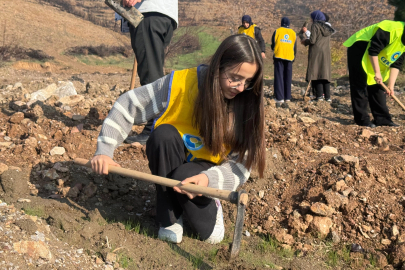 Gürsu'da yanan ormanlar yeniden yeşeriyor... 15 bin fidan toprakla buluştu