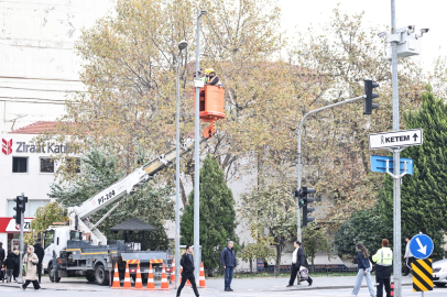 Denizli Büyükşehir İklim Değişikliği İle Mücadelesini Sürdürüyor
