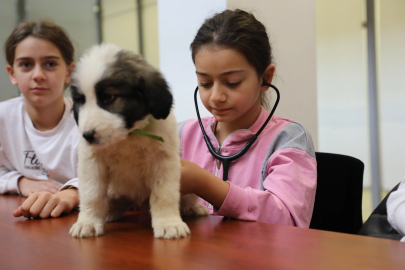 Bursa'da Minik Veterinerler Görev Başında