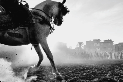 Oppo 2025 Fotoğrafçılık Ödülleri Sonuçlandı