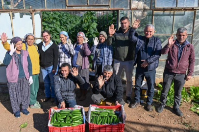 Mersin Aydıncık’ta üreticiler ilk hasadı yaptı