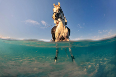 Sony Dünya Fotoğrafçılık Ödülleri:   Öğrenci ve Gençlik Kategorileri Kısa Listeleri Açıklandı