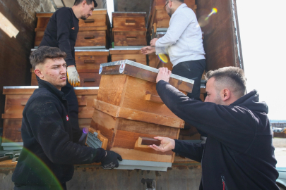 Kırsal Üretime Kovan Desteği