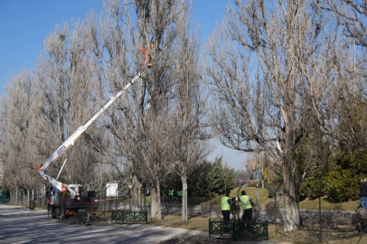Eskişehir Sazova Parkı’nda çalışmalar devam ediyor