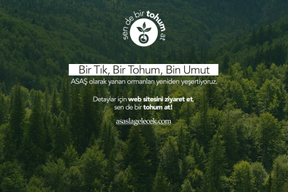 ASAŞ “Sen de Bir Tohum At” Projesiyle Doğayı Yeniden Yeşertmeye Devam Ediyor