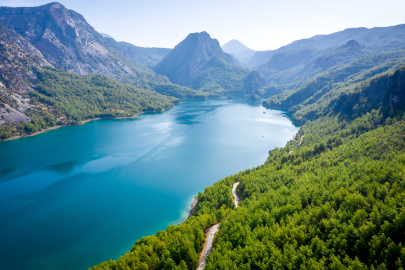 TEMA Vakfı’ndan Orman ve Su Uyarısı