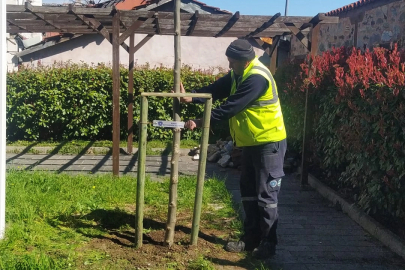 Bursa'nın 700 Yıllık Mirası 700 Çınarla Kök Salıyor