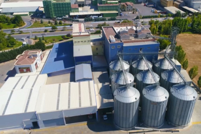 Türkiye'nin Yeni Ekmeği Konya’da Geliştirildi