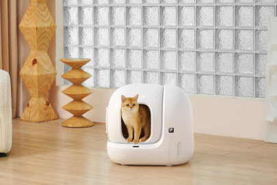 Patili Dostlarınızın Bakımında Yeni Dönem