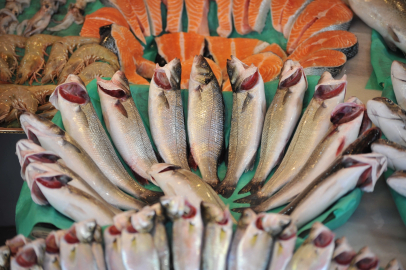 Su Ürünleri Sektörü İlk Çeyrekte İhracatını Yüzde 24 Artırdı