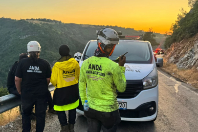 Bursa'da orman yangını kontrol atına alındı!