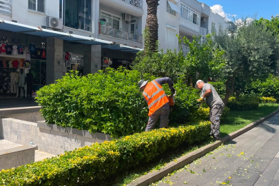 Antalya Büyükşehir’den Kemer’e çevre düzenleme