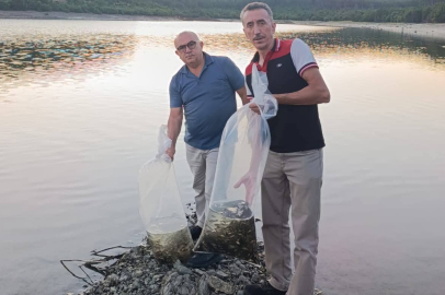 Orhaneli’nin Göletleri Sazan Yavrularıyla Buluştu!