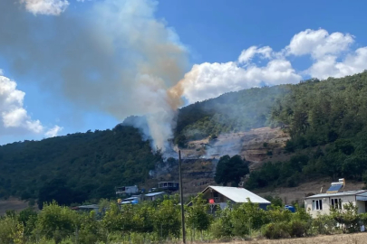 Bursa'da Orman yangını!