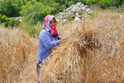 Kadın Emeğini Değerlendirme Vakfı Deprem Bölgesinde ‘Temiz Ekmek Projesi’ni Başlatıyor