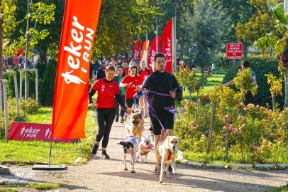 13. Eker I Run’da Koşu Tutkusu Hayvan Sevgisiyle Buluştu