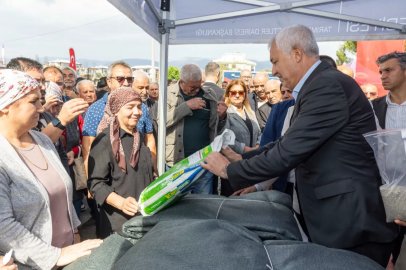 Zeytinde Ortak Akıl Sahaya Taşınıyor