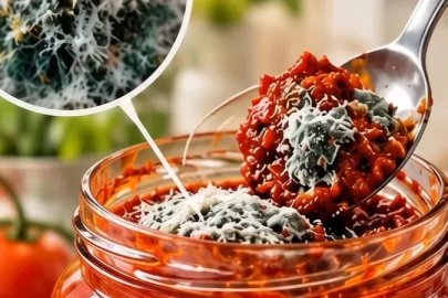 Gıda ve Kontrol Genel Müdürlüğü uyardı: Küflü salçayı tüketmeyin!