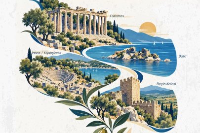 Muğla Milas'tan zeytinin hikayesine açık davet