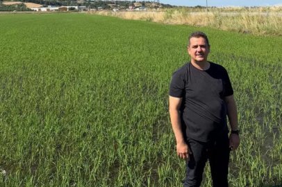İpsala Çeltik Üreticileri Birliği'nden tepki